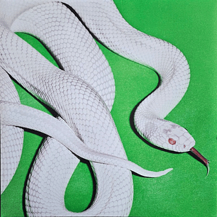 Deftones – Private Music (Vinilo Simple)