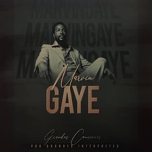 Marvin Gaye – Grandes Canciones Por Grandes Intérpretes (Vinilo Simple)