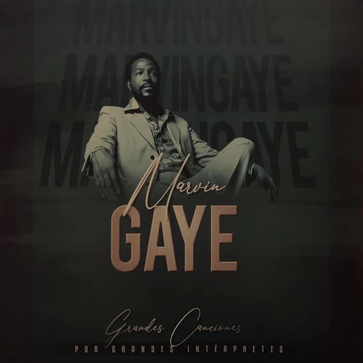 Marvin Gaye – Grandes Canciones Por Grandes Intérpretes (Vinilo Simple) 1