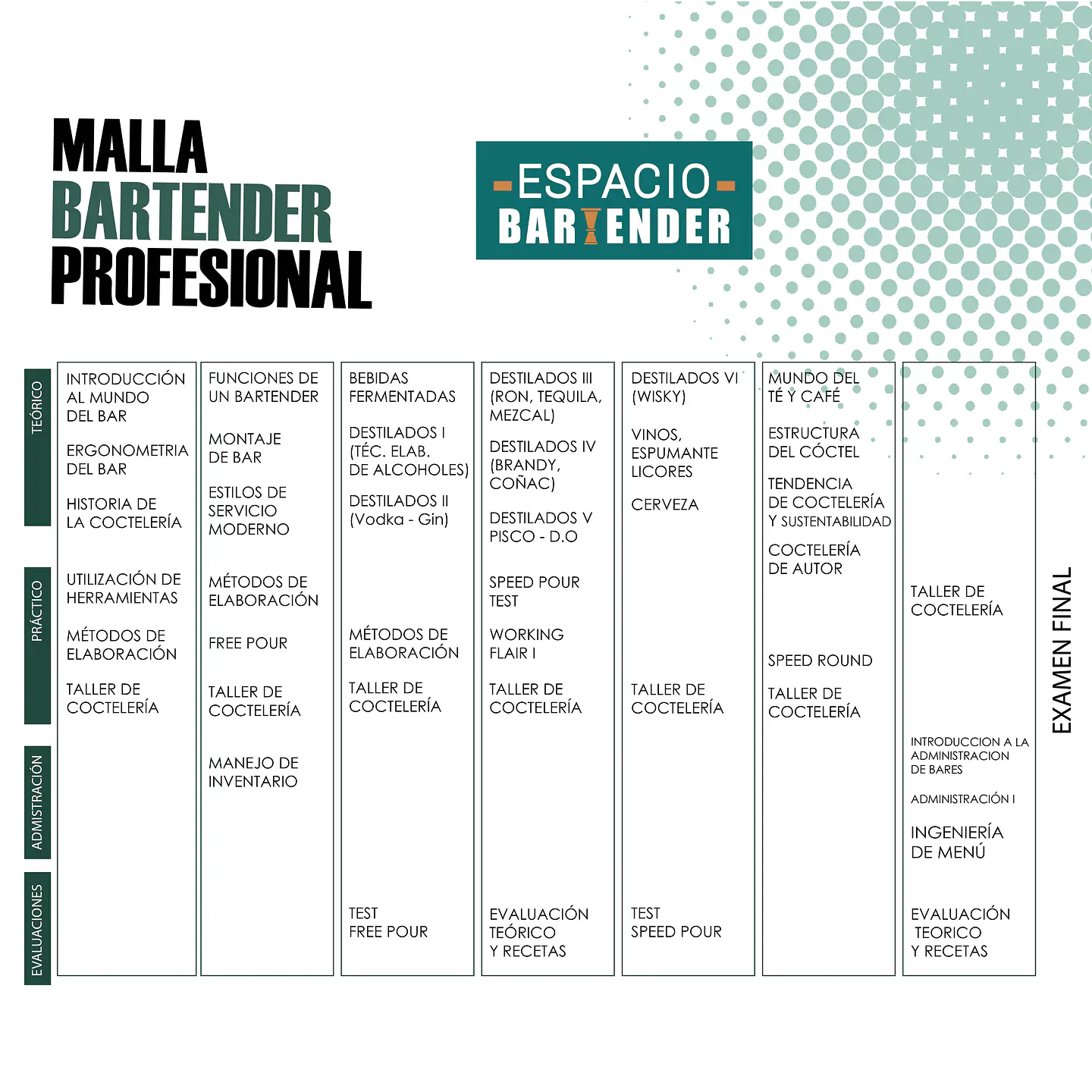 BARTENDER PROFESIONAL/ DIURNO 2