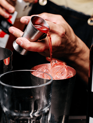 BARTENDER PROFESIONAL/ INTENSIVO SÁBADO