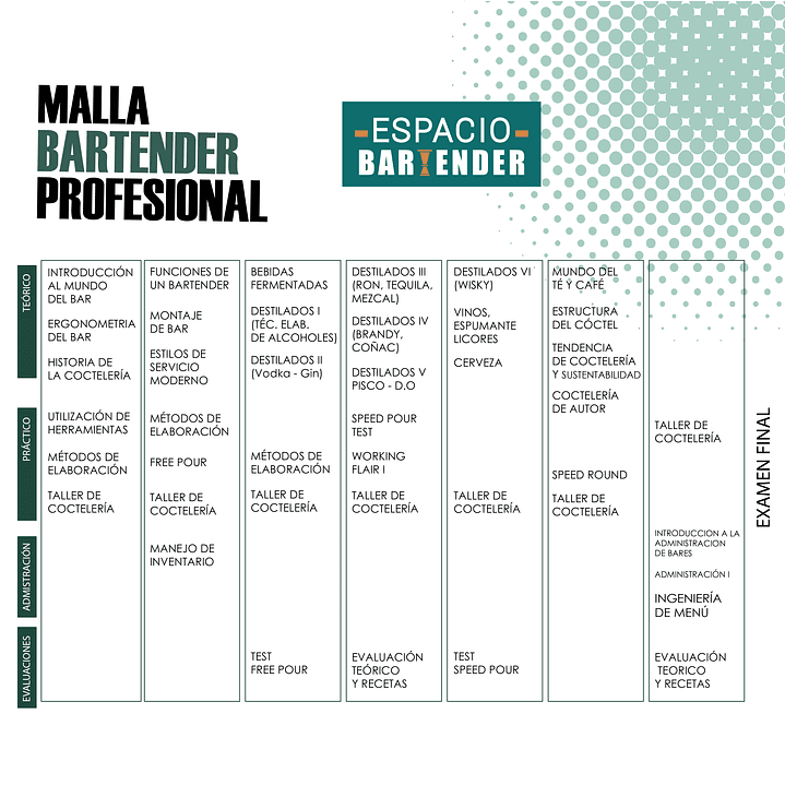 BARTENDER PROFESIONAL/ INTENSIVO SÁBADO 2