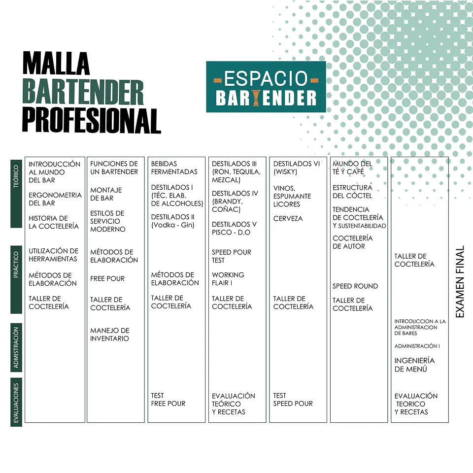 BARTENDER PROFESIONAL/ INTENSIVO SÁBADO 2