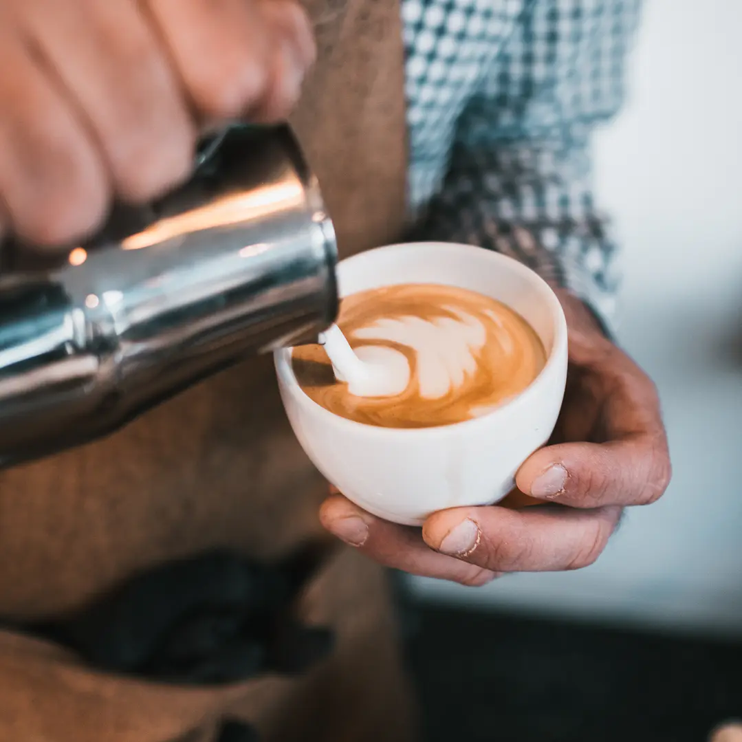 CURSO BARISTA PROFESIONAL - TARDE 1