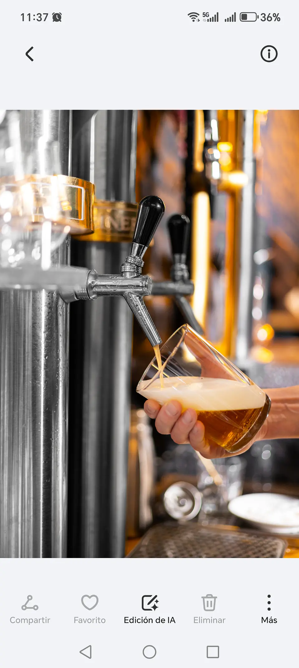 CURSO CERVECERO 1