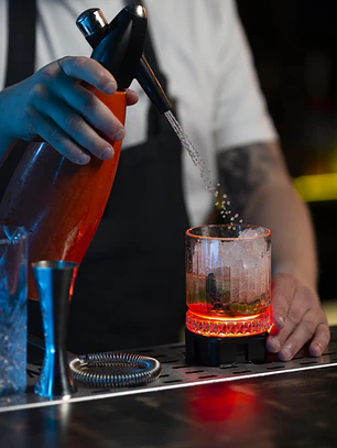 PACK BARTENDER PROFESIONAL + BARTENDER AVANZADO