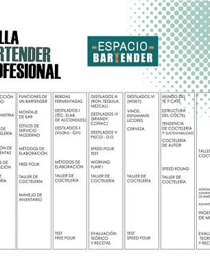 BARTENDER PROFESIONAL/ VESPERTINO INTENSIVO