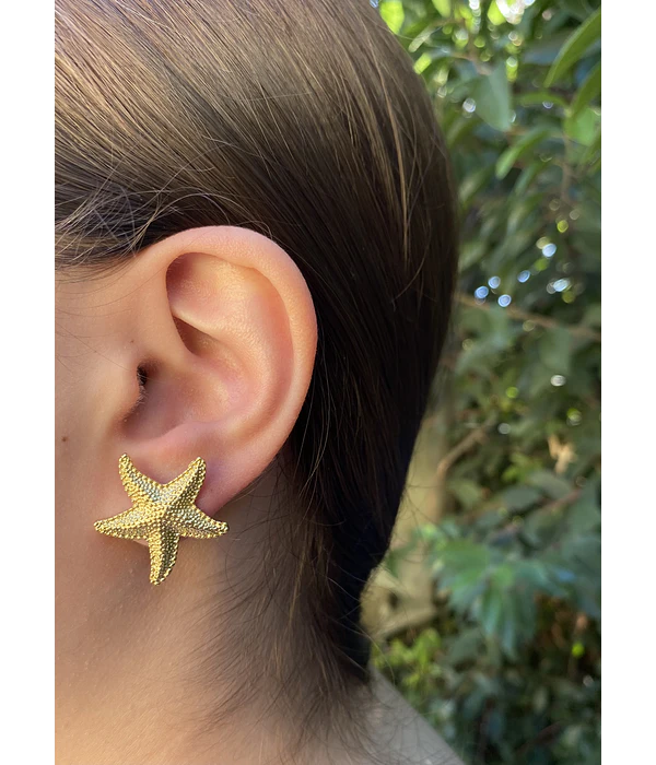 Estrella de mar -Renovacion y Guia Espiritual