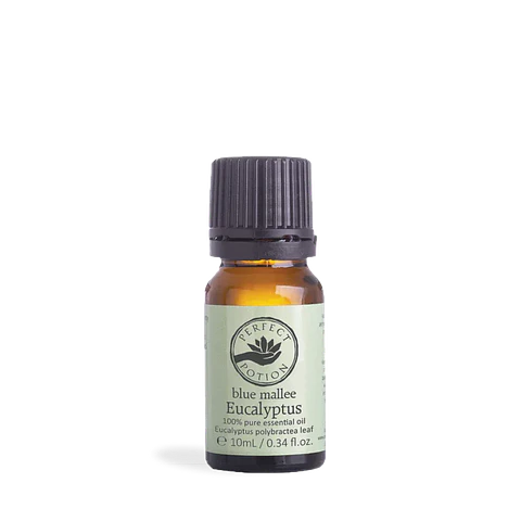 Eucaliptus B.Mallee 10 ml.  Aceite esencial orgánico 100% puro