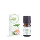 Green Goddess Blend 10 ml.  Un ritual botánico de bienestar y conexión femenina - Miniatura 1