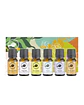 Home Sanctuary Essential Oil Collection.  Una colección aromática para transformar tu hogar en un refugio de bienestar y armonía. - Miniatura 1