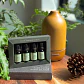 Kit Baños de Bosque de Alrededor del Mundo.   Una colección aromática inspirada en la conexión con la naturaleza y los rituales de bienestar del mundo natural - Miniatura 3