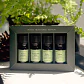 Kit Baños de Bosque de Alrededor del Mundo.   Una colección aromática inspirada en la conexión con la naturaleza y los rituales de bienestar del mundo natural - Miniatura 4