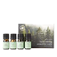 Kit Baños de Bosque de Alrededor del Mundo.   Una colección aromática inspirada en la conexión con la naturaleza y los rituales de bienestar del mundo natural - Miniatura 1