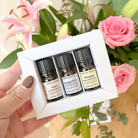 Stoic Collection Kit.  Inspirado en las virtudes estoicas para acompañar momentos de introspección, claridad y serenidad.