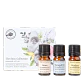 Stoic Collection Kit.  Inspirado en las virtudes estoicas para acompañar momentos de introspección, claridad y serenidad. - Miniatura 1