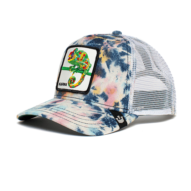 Gorra Goorin Bros Chameleon  2