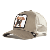 Gorra Goorin Bros Boxer