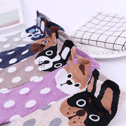 Calcetines Doglover Standar