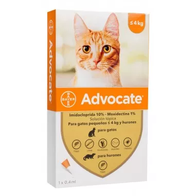 Advocate Gatos hasta 4 Kg