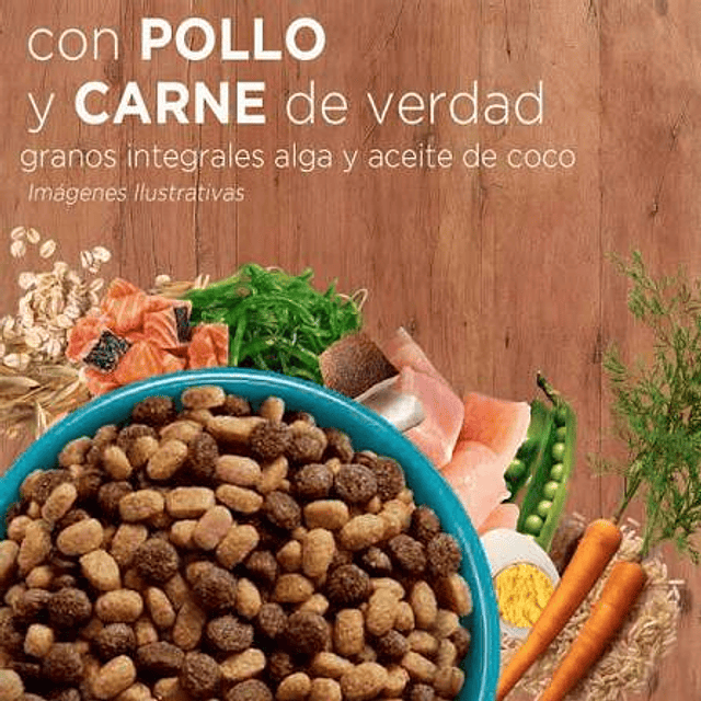 Purina One Pollo y Salmón para Gatos 2 Kg. 