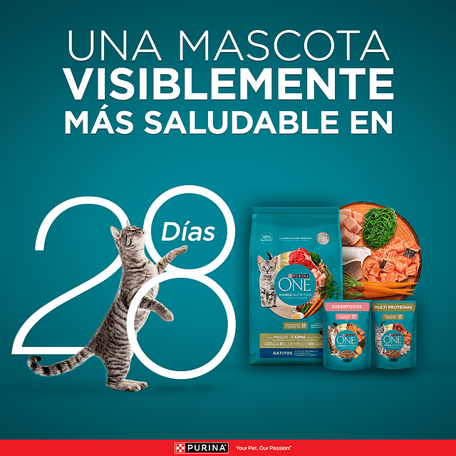 Purina One Pollo y Salmón para Gatos 2 Kg. 