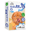 Gerolamo Salvatore Galletas Perro Variedades GF 460 gr. 