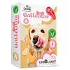 Gerolamo Salvatore Galletas Perro Variedades GF 460 gr. 