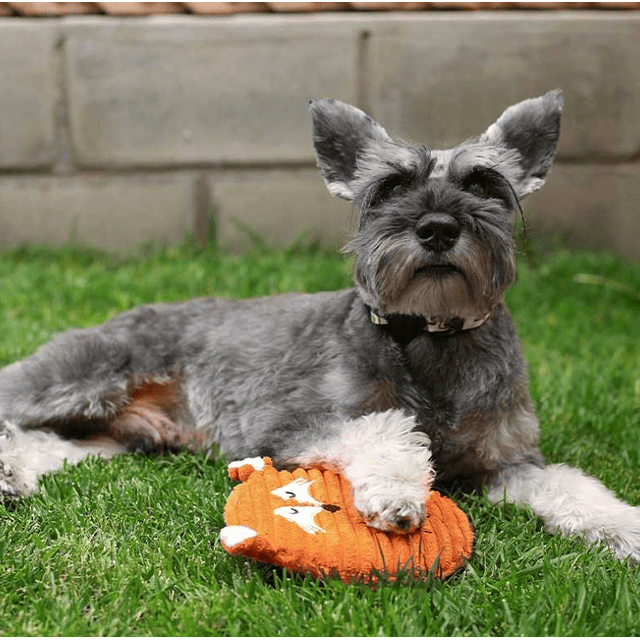 Juguete Plush Circular Zorro con sonido 