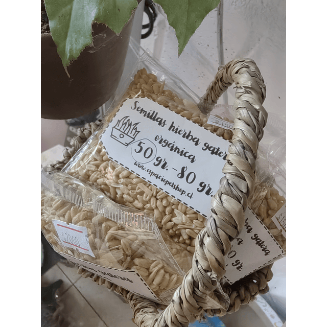 Semillas Trigo Orgánico Hierba Gatera