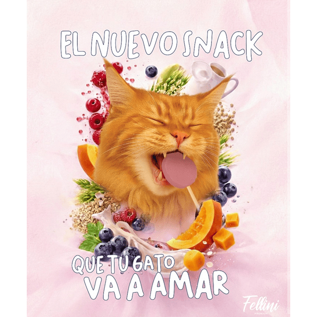 Lollipop Snack Liofilizado Variedades