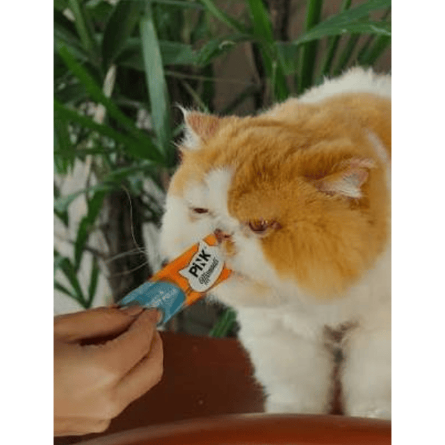 Snack Cremoso para Gatos Pink Moments Variedades