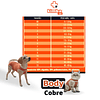 Body Cobre Post Operatorio para Perros y Gatos 