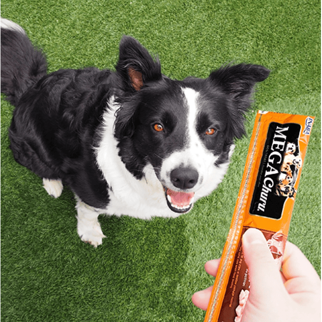 Mega Churu para Perros Variedades 144 gr.