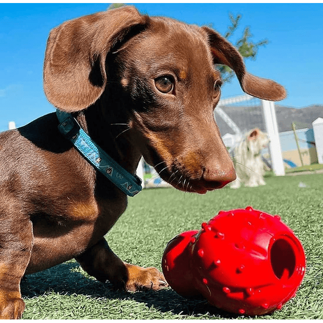 Nylabone Strong Chew Cono 3 en 1 Rellenable y Congelable Sabor Tocino Talla XS