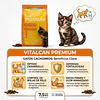 Vitalcan Premium Gatito Variedades