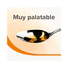 Aceite de Salmón Beaphar 430 ml | Omega 3 y 6 Perros y Gatos