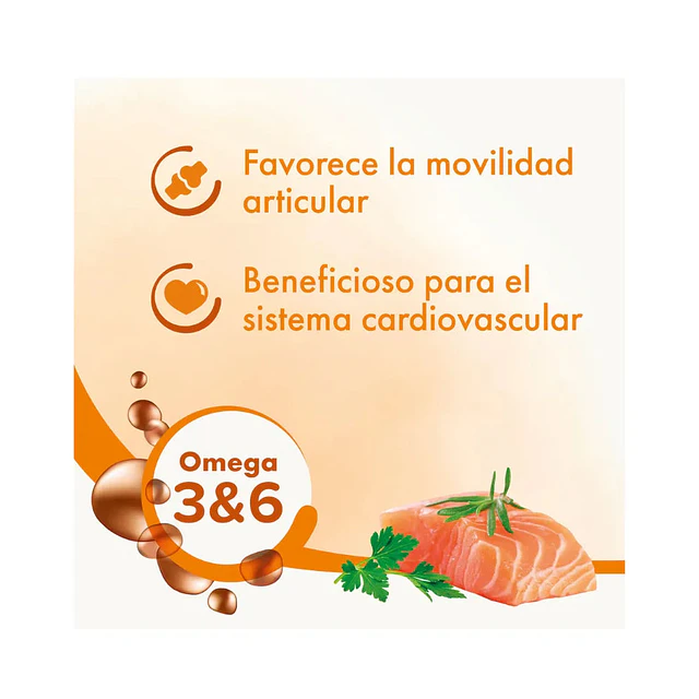 Aceite de Salmón Beaphar 430 ml | Omega 3 y 6 Perros y Gatos