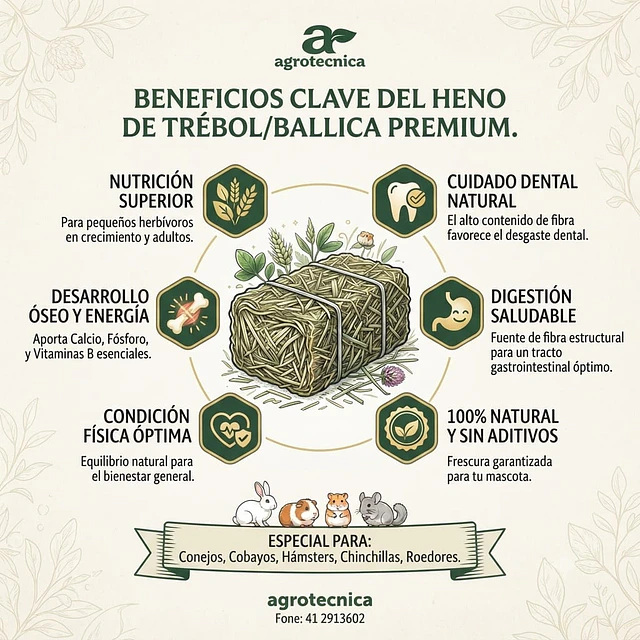 Heno de Ballica y Trébol Premium 500gr