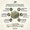 Heno de Ballica y Trébol Premium 500gr