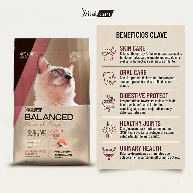 Vitalcan Balanced Natural Recipe Salmón Rosado 3 kg