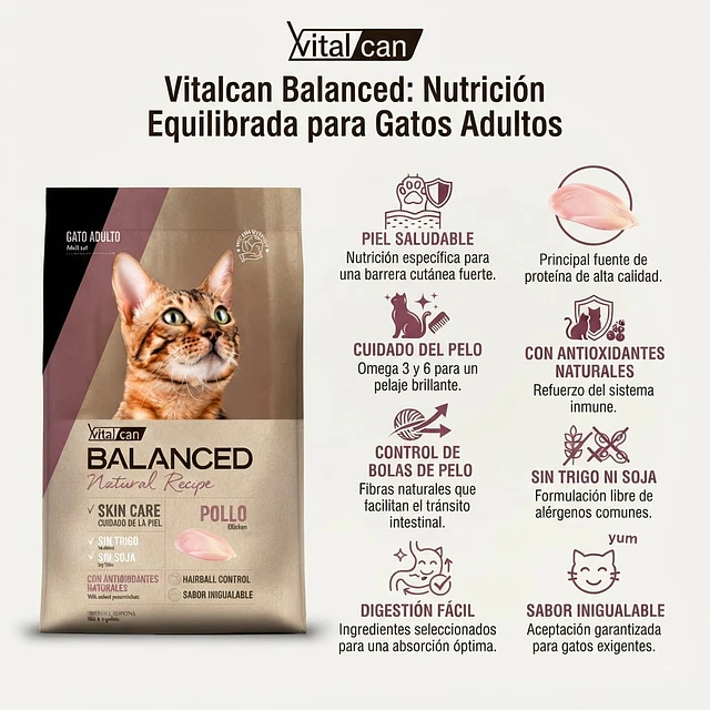 Vitalcan Balanced Natural Recipe Gato Pollo 3 kg