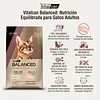 Vitalcan Balanced Natural Recipe Gato Pollo 3 kg