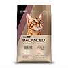 Vitalcan Balanced Natural Recipe Gato Pollo 3 kg
