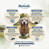 Nómade Perro Senior (Razas Medianas & Grandes) 15 kg 