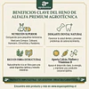 Heno de Alfalfa Premium 500gr