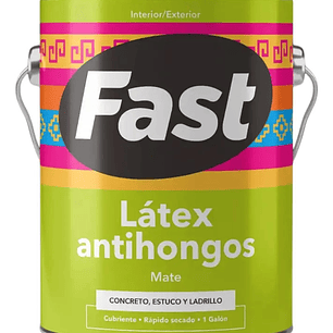 FAST LATEX BLANCO 1 GL