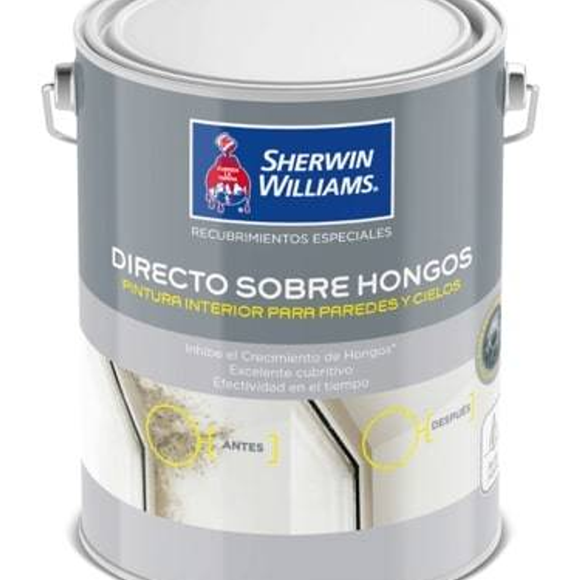 ESMALTE AL AGUA DIRECTO SOBRE HONGOS 1/4 GALON 1