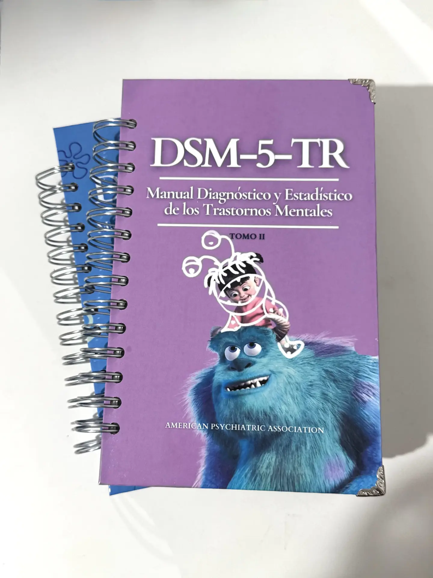 DSM 5 TR - Manual Diagnóstico y Estadístico de los Trastornos Mentales (última versión) (Personalizado) 3