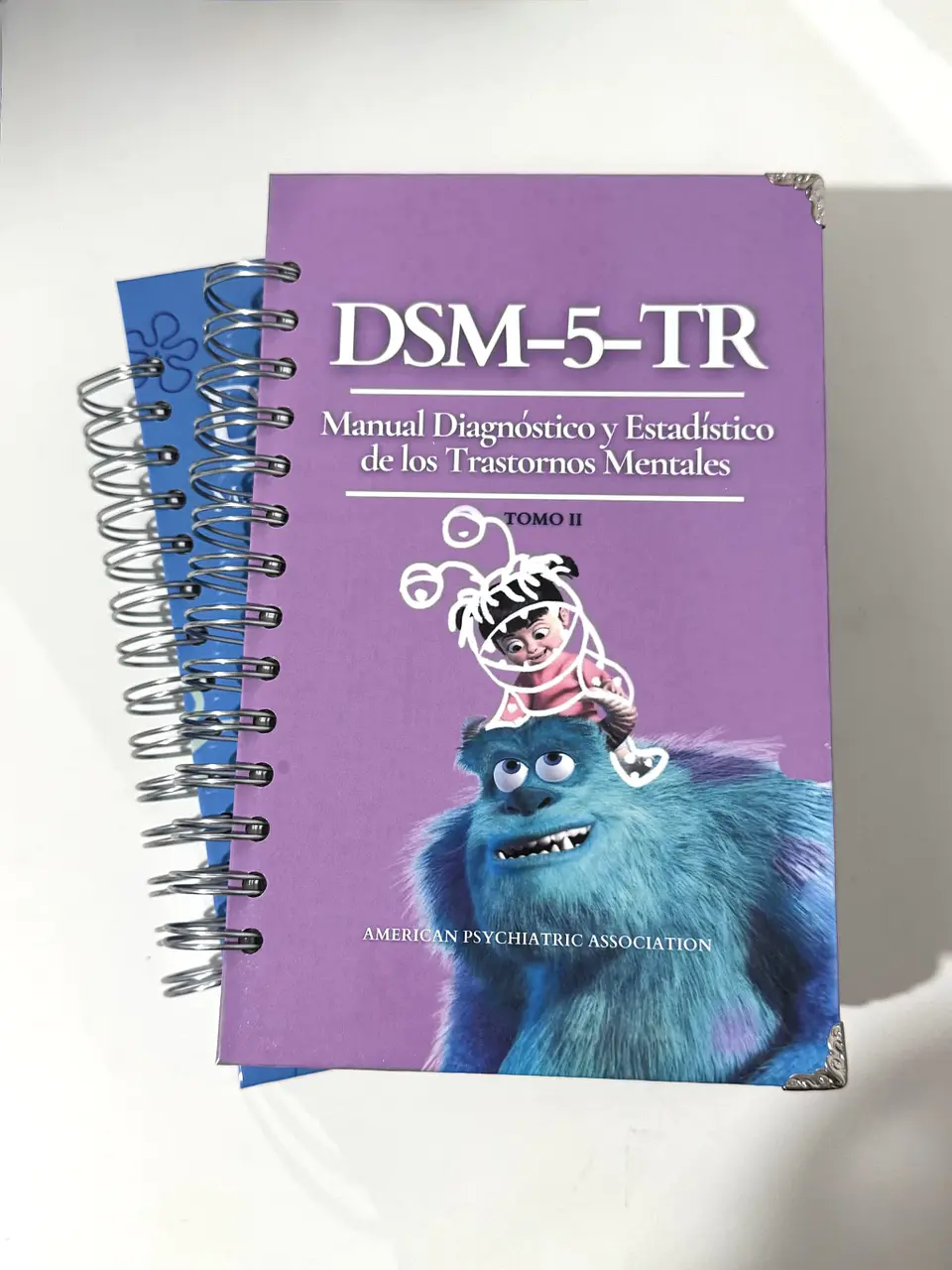 DSM 5 TR - Manual Diagnóstico y Estadístico de los Trastornos Mentales (última versión) (Personalizado) 3